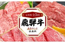 飛騨牛 A5 赤身 定期便 全3回 約1kg（すき焼き しゃぶしゃぶ 焼肉） HF101　