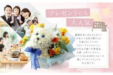 アニマルフラワーアレンジメント 白猫 | 花 カーネーション ギフト お祝い ねこ フラワー 生花 プレゼント 可愛い インテリア 飛騨高山 下出生花店 BB003