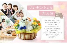 アニマルフラワーアレンジメント 三毛猫 | 花 カーネーション ギフト お祝い ねこ フラワー 生花 プレゼント 可愛い インテリア 飛騨高山 下出生花店 BB004