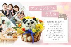 アニマルフラワーアレンジメント パンダ | 花 カーネーション ギフト お祝い パンダ フラワー 生花 プレゼント 可愛い インテリア 飛騨高山 下出生花店 BB005