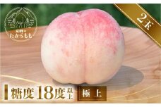 【2025年先行予約】飛騨のたからもも 極上 糖度18度以上（2玉）※7月下旬～順次お届け | 桃 朝採れ 白桃 もも フルーツ ギフト 果物 人気 おまかせ 飛騨桃 飛騨高山 つむぎ果樹園 GH002