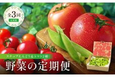 【先行予約／定期便 全3回】 野菜の定期便 （ スナップえんどう ＆ トマト2種）| トマト 大玉トマト ピッコラルージュ 産地直送 スナップ スナック えんどう 豆 とまと 旬の味 夏 秋 やさい 野菜 飛騨高山 新葉ファーム FV100