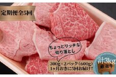 【定期便 隔月発送】全5回 飛騨牛ちょっとリッチな切り落とし（みすじ・ウデすき焼きしゃぶしゃぶ用）300g×2パックセット | 2か月に1回発送 飛騨牛 飛騨高山 切り落とし 肉 牛肉 みすじ ウデ しゃぶしゃぶ すき焼き 人気 飛騨牛のこもり FC102
