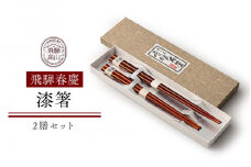飛騨春慶 漆箸2膳セット | お箸 ペア セット 弁当 工芸品 飛騨高山 手作り ギフト 飛騨高山 元田漆器株式会社 NA009