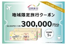 岐阜県高山市　日本旅行　地域限定旅行クーポン300,000円分 | 高山市への旅行に使える割引クーポン 旅行 割引 クーポン チケット 宿泊 飛騨高山 株式会社日本旅行 NU006