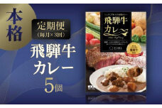 【定期便3ヶ月】本格飛騨牛レトルトカレー 230g×5個 | 飛騨牛 レトルトカレー 贅沢 カレー 本格 中辛 ビーフカレー 便利 簡単調理 高山市 株式会社フローラ EY100