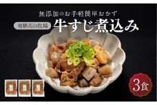 国産 牛すじ煮込み ３食 | 化学調味料無添加 無添加 加工品 手軽 お手軽 おつまみ おかず 丼 個包装 レンジ 湯せん 惣菜 飛騨高山牧場  HG008