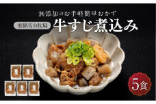 国産 牛すじ煮込み 5食 | 化学調味料無添加 無添加 加工品 手軽 お手軽 おつまみ おかず 丼 個包装 レンジ 湯せん 惣菜 飛騨高山牧場 HG009
