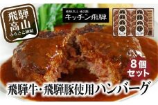 キッチン飛騨 飛騨牛・飛騨豚使用 ハンバーグ 8個セット（デミグラスソース付）| レトルト ハンバーグ 惣菜 お手軽 飛騨高山 個包装 冷凍食品 熨斗 のし対応可 飛騨ハム CQ008VC13