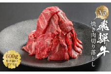 【形不揃い訳あり】A5等級飛騨牛 焼肉 切り落とし600g（冷蔵配送）| 牛肉 肉 和牛 キャンプ 肉料理 ブランド牛 不揃い 人気 国産 お取り寄せ グルメ おすすめ 株式会社岩ト屋 HF040