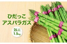 【2026年発送・先行受付】2Lサイズ以上 ひだっこアスパラガス 1.5kg | アスパラ 野菜 やさい 産地直送 春 夏野菜 採れたて グリーンアスパラガス 期間限定 人気 おいしい ひだっこの里 CM002VC01