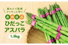 【2025年発送】ひだっこアスパラ 1.5kg | アスパラ アスパラガス 飛騨産 野菜 春 夏野菜 産地直送 新鮮 食品 おいしい 人気 ひだっこの里 CM004VC01