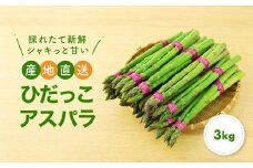 【2025年発送】ひだっこアスパラ 3.0kg  | アスパラ アスパラガス 飛騨産 野菜 春 夏野菜 産地直送 新鮮 食品 おいしい 人気 ひだっこの里 CM005VC01