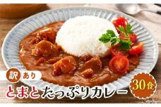 訳あり とまとたっぷりカレー（160ｇ×30袋）| 野菜の旨味 簡易包装 トマト カレー 人気 野菜たっぷり 子供 おいしい ふるさと清見21 DC023