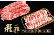 飛騨牛 カルビ300g & 飛騨豚 バラ400g | 食べ比べ セット 焼肉 国産牛 飛騨高山 人気 おいしい ファミリーストアさとう CY044