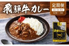 【期間限定】飛騨牛カレー 36袋(12袋x3回)   定期便 3回【2月・5月・8月】| 訳あり 飛騨牛 肉 牛 カレー ビーフカレー 簡易包装 レトルトカレー ご当地カレー 人気 おすすめ ふるさと清見21 DC104