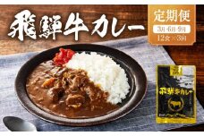 【期間限定】飛騨牛カレー 36袋(12袋x3回) 定期便 3回【3月・6月・9月】| 訳あり 飛騨牛 肉 牛 カレー ビーフカレー 簡易包装 レトルトカレー ご当地カレー 人気 おすすめ ふるさと清見21 DC105