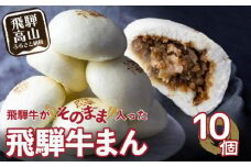 飛騨牛まん 10個セット 中華まん にくまん 牛まん 飛騨牛 ｜おすすめ 人気 あったか レンチン みそ味 株式会社清水弥生堂 GV008  肉 牛肉 加工品 レトルト 点心 飛騨牛 中華総菜 食品 おかず 人気 おすすめ 送料無料 ギフト