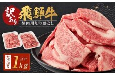 【8月配送】訳あり 飛騨牛焼肉用切り落とし たっぷり1kg （不揃い・大容量）| 飛騨牛 肉 おいしい 飛騨高山 切り落とし 小分け バーベキュー キャンプ 肉の匠家 BV027VC08