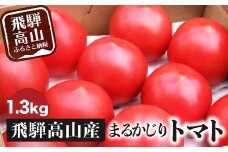 【通常配送】旬の味をお届け！果肉が厚くてみずみずしい 飛騨高山産トマト 『麗月』1.3kg | とまと トマト 産地直送 野菜 飛騨高山 まるかじり農園 FW001VC02