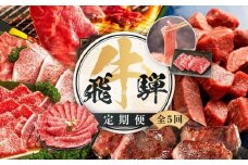 飛騨牛 定期便 全5回 約 2.2kg ( 300g 以上 × 5ヶ月 ) 牛肉 (すき焼き / ステーキ / しゃぶしゃぶ / 焼肉 ) | 肉 食べ比べ A5 岐阜 高山市 飛騨高山 岐阜県 人気 お楽しみ おすすめ ZZ015VC13