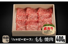 飛騨牛 A5等級 赤身 もも肉 焼肉 400g 黒毛和牛 ブランド牛 Ａ5ランク ハッピープラス 飛騨高山 JQ021VC13