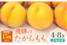 【2025年先行予約】飛騨のたから桃（4-8玉）糖度15度以上 黄桃｜桃 もも おうとう 極上の甘さ 濃厚な甘さ 甘い 贈答 高級 特選 朝採り 飛騨の朝採り桃 朝採れ農家直送 飛騨高山 つむぎ果樹園 GH011