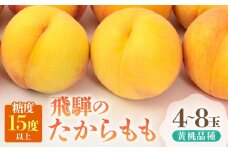 【2026年発送・先行受付】飛騨のたから桃（4-8玉）糖度15度以上 黄桃｜桃 もも おうとう 極上の甘さ 濃厚な甘さ 甘い 贈答 高級 特選 朝採り 飛騨の朝採り桃 朝採れ農家直送 飛騨高山 つむぎ果樹園 GH011