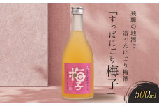 飛騨の地酒で造ったにごり梅酒「すっぱにごり梅子」 ｜ 日本酒 梅 人気 おすすめ 有限会社舩坂酒造店　FB002VC13
