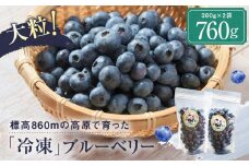 治助ファームの北部ハイブッシュブルーベリー「冷凍果実」380g×2袋 | 国産 フルーツ ブルーベリー おやつ 製菓 冷凍 果物 冷凍フルーツ 飛騨高山 治助ファーム LJ004VC13