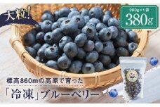 治助ファームの北部ハイブッシュブルーベリー「冷凍果実」380g×1袋 | 国産 フルーツ おやつ 製菓 冷凍 果物 冷凍フルーツ 飛騨高山 治助ファーム LJ005VC13