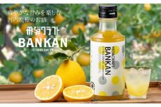 飛騨クラフト 柑橘系リキュール BANKAN CITRUS SWEET | リキュール 晩柑 河内晩柑 ばんかん 柑橘 酒 お酒 飛騨高山 森瓦店 MM015VC13