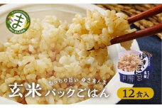 玄米パックごはんもっちり旨いゆきまんま玄米（12食入）1食150g | パックご飯 玄米  お手軽 レンジ調理 玄米食 150g ご飯 ごはん まんま農場 LT007VC13