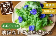 飛騨高山野菜『おおごっつぉ』詰合せ 葉物野菜 葉物 ミックスリーフ わさびな フラワーサラダ 無農薬野菜 無農薬 HS001VC13