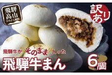 訳あり 飛騨牛まん 6個セット 中華まん 肉まん 牛まん 飛騨牛 簡易包装 惣菜 間食 おやつ  肉 牛肉 加工品 レトルト まんじゅう 点心 飛騨牛 中華総菜 食品 おかず 人気 おすすめ 送料無料 ギフト 清水弥生堂 GV005VC13