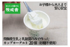 砂糖不使用 プレーンヨーグルト 20個 飛騨の牛乳屋 牧成舎 生乳100％ 朝食におすすめ 無糖ヨーグルト プレーンヨーグルト 砂糖不使用 生乳 ヨーグルト 乳製品 牧成舎 DF006VC13