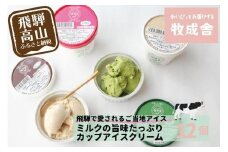 【12月配送】＜牧成舎＞ 飛騨の牛乳屋が作る ミルクの旨味たっぷり カップアイスクリーム  12個入り（バニラ/抹茶/いちご/ラムレーズン 各3個）|  発送時期が選べる 年内発送 デザート 牧場 アイス 人気 おいしい 牛乳 ギフト プレゼント バレンタイン ホワイトデー 母の日 飛騨高山 牧成舎 DF018VC12
