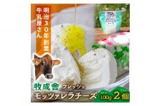 ＜牧成舎＞飛騨の牛乳屋さんが作った こだわりの フレッシュモッツァレラチーズ（100g×2個）| チーズ 国産 乳製品 牛乳 低温殺菌 おいしい ナチュラルチーズ モッツァレラ  (有)牧成舎 DF036