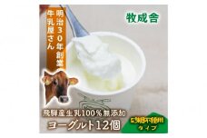 ＜牧成舎＞飛騨の牛乳屋さんが作った こだわりの カップヨーグルト12個（砂糖不使用タイプ）| ヨーグルト 無糖 砂糖不使用 無添加 健康 おいしい さっぱり 飛騨高山 (有)牧成舎 DF038
