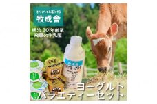 ＜牧成舎＞飛騨の牛乳屋さんが作った こだわりの ヨーグルトバラエティー7点セット（ヨーグルト2種6個・のむヨーグルト750ml×1本）| セット 乳製品 ご当地 無添加 おいしい ヨーグルト ドリンク デザート 飛騨高山 (有)牧成舎 DF041