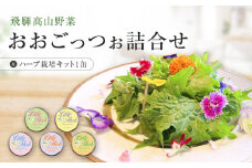 飛騨高山野菜『おおごっつぉ』詰合せ ＆ 缶で育てるハーブ栽培キット（ミニサイズ）| 野菜 グリーンリーフ エディブルフラワー 家庭菜園 リーフ 葉野菜 ハーブ 飛騨高山 株式会社FDS HS002