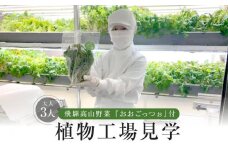 飛騨高山野菜『おおごっつぉ』付植物工場見学（大人３人）| 工場見学 体験学習 長期連休 グリーンリーフ 園芸 チケット 旅行 飛騨高山 株式会社FDS HS004