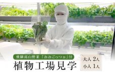 飛騨高山野菜『おおごっつぉ』付植物工場見学（大人２人、小人１人）| 工場見学 体験学習 長期連休 グリーンリーフ 園芸 チケット 旅行 飛騨高山 株式会社FDS HS005