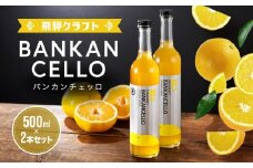 バンカンチェッロ500ml 2本セット | 和製リキュール 河内晩柑 アルコール 酒 サワー 有限会社森瓦店 MM023