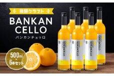 バンカンチェッロ500ml 6本セット | 和製リキュール 河内晩柑 アルコール 酒 サワー 有限会社森瓦店 MM024
