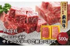 2種食べ比べ サイコロステーキ！飛騨牛 A5等級  500g (サーロイン250g＋もも250g) | 黒毛和牛 ブランド牛 和牛 牛肉 飛騨高山 丹生川精肉 JJ007VC13