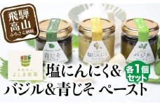 自然栽培調味料シリーズ バジル 塩にんにく 青じそ ペースト 塩 飛騨高山よしま農園 CK011VC13