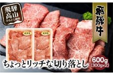 飛騨牛 切り落とし 300g×2パックセット | みすじ ウデ すき焼き しゃぶしゃぶ 希少部位 600g 和牛 国産牛 冷凍 飛騨高山 飛騨牛のこもり FC005VC13