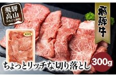 飛騨牛 切り落とし 300g | みすじ ウデ すき焼き しゃぶしゃぶ  希少部位 和牛 国産牛 冷凍 飛騨高山 飛騨牛のこもり FC007VC13