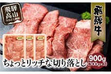 飛騨牛 切り落とし 300g×3パックセット | みすじ ウデ すき焼き しゃぶしゃぶ  希少部位 900g 和牛 国産牛 冷凍 飛騨高山 飛騨牛のこもり FC009VC13